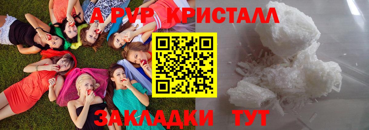 A-PVP СК Аргун