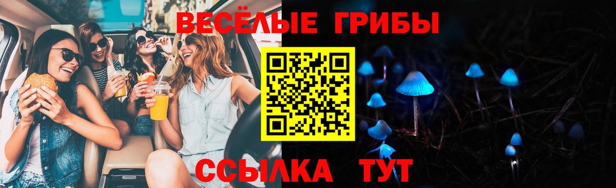 Псилоцибиновые грибы Magic Shrooms  Вход с VPN  Аргун  Псилоцибиновые грибы Psilocybine cubensis 